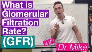 Glomerular Filtration Rate GFR  Renal System [upl. by Cosma]