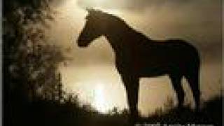 Man from snowy river Jessicas theme [upl. by Kimmi120]