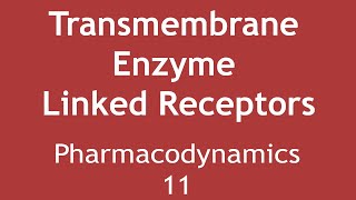 Transmembrane Enzyme Linked Receptors Pharmacodynamics Part 11  Dr Shikha Parmar [upl. by Hal928]