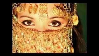 Yasar AkpenceLast harem Darbuka Solo BELLY DANCE 2 wmv [upl. by Allred]