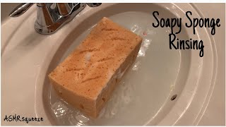 Soapy Sponge RinsingASMRsqueeze [upl. by Ayoted514]