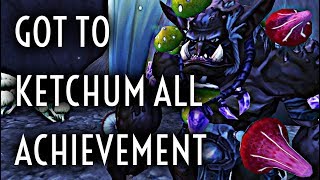 WoW Guide  Got to Ketchum All  Achievement [upl. by Lerred]