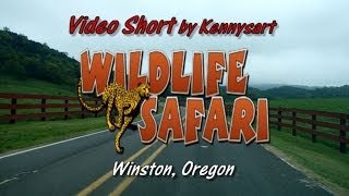 Wildlife Safari drive through wild game park Winston Oregon [upl. by Nessa]