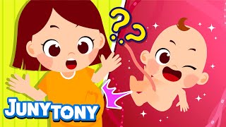 How Is a Baby Born  Baby Born Song  New Baby Song  My Body Songs for Kids  JunyTony [upl. by Frodeen]