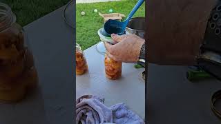 Homemade canned peaches in 1 minute diy canning canningandpreserving peaches harvest [upl. by Elie]