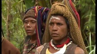 Papua Neuguinea  Land der Überraschungen [upl. by Ika]