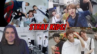 Reacting to Stray Kids quotROCK VOICES AWKWARD SILENCE MIA amp INSOMNIAquot  unboxing my 1st SKZ ALBUM [upl. by Ateuqirne]