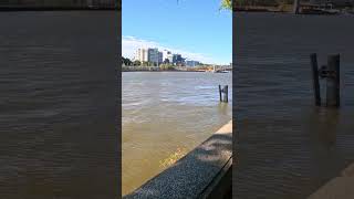 4K Caminando En Parque South Bank Brisbane Australia 2 1 [upl. by Ahseenat312]