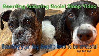 Lodging and Social Sleep Informational Video 1 Dirk Broersma [upl. by Acireed790]