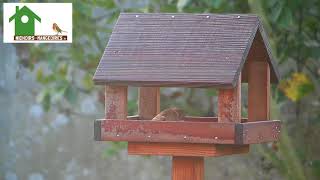 mangeoire sur pied en bois pour oiseaux des jardins [upl. by Ayikahs894]