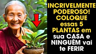 INCRIVELMENTE PODEROSO COLOQUE essas 5 PLANTAS em sua CASA e NINGUÉM vai te FERIR [upl. by Gearhart]