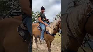 gera guerra e seu cavalo shogun vaqueiro gera guerra [upl. by Kaplan184]