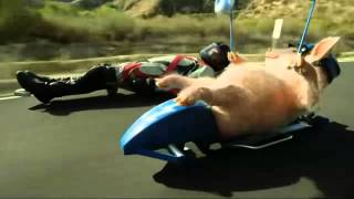 GEICO Commercial  Piggy Street Luge  AdsYo [upl. by Yesnik]