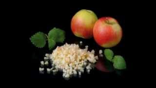 FOODLOGISTIK  apple dicing 4x4x4 mm cubes [upl. by Ensign855]