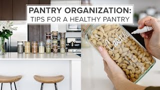 PANTRY ORGANIZATION IDEAS  tips for a healthy pantry [upl. by Ocirederf24]