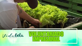 Voluntario empresarial– Vida Bela – 230924 [upl. by Darelle]