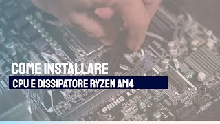 installare cpu e dissipatore ryzen am4 su scheda madre asus [upl. by Lyret]