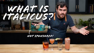 Bergamot Liqueur How to surprise your tastebuds How to use Italicus at home [upl. by Atiugram]