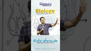 Tissa Jananayake  Biology [upl. by Sarad166]