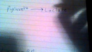 Biochemistry Help Glycolysis under Anaerobic Conditions  Low oxygen [upl. by Sremmus]