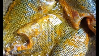 fish curry sorsa tilapia recipe 🐟food shortsfoodie [upl. by Sualokcin409]