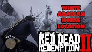 Cara Mendapatkan White Arabian Horse Kuda Tercepat  Red Dead Redemption 2 LOCATION [upl. by Ettennahs]