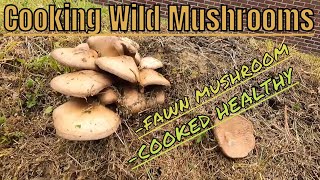 Cooking Wild Mushrooms the Fawn Mushroom Pluteus cervinus best ever way to cook this mushroom [upl. by Groot825]