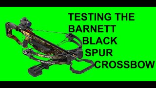 TESTING THE BARNETT BLACK SPUR CROSSBOWRAPTOR fx [upl. by Bald825]