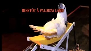 Palooza Land  Spectacles de perroquets inédits et en exclusivité [upl. by Agnesse]