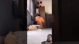 doglover dog comedy funny ytshorts shortvideo [upl. by Claudie379]