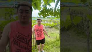 Sige kembot mo baby trending dance trending trendingshorts kembot follow youtubeshorts [upl. by Jeana749]