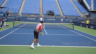 Tsonga Stepanek clash [upl. by Eibob]