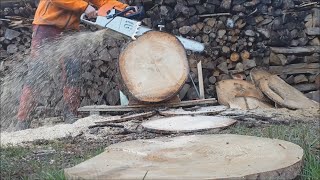 Stihl MS880 vs Husqvarna 3120xp and 395xp all saws ported 38 chain test [upl. by Yajnas472]