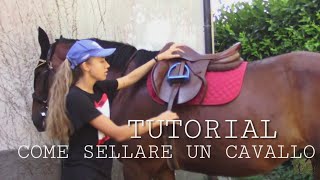 TUTORIAL COME SELLARE UN CAVALLO  Sara Aventino [upl. by Cinimod375]