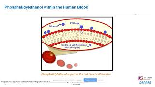 Fully Automated Dried Blood Spot Analysis of Phosphatidylethanol – An Introduction [upl. by Llehcam]