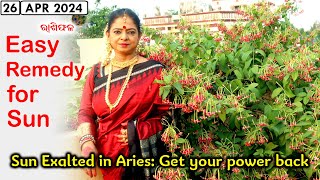 Easy remedy for Sun  Sun Exalted in Aries  Rashiphala  26Apr2024  Dr Jayanti Mohapatra [upl. by Nerot]