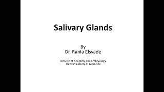 Anatomy of salivary glands [upl. by Tena49]