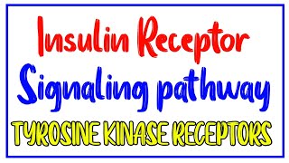 Insulin receptor signaling pathway Tyrosine Kinase pathway  Cell Signaling Biochemistry [upl. by Arhaz]