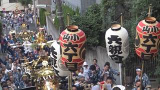 平成28年 品川＜両社祭＞小山八幡神社宵宮 連合渡御・宮入 [upl. by Roosnam112]