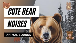 Animal Sounds Bear Noises  🐻🐻🐻 what sound does a bear make [upl. by Yllod]