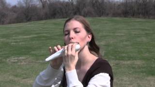 Rohan Theme from the Lord of the Rings on STL Ocarina [upl. by Vallery]