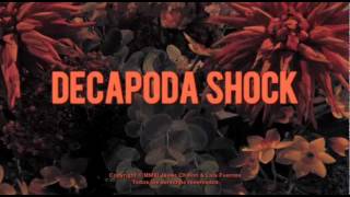 Decapoda Shock Teaser 2 [upl. by Jessa]