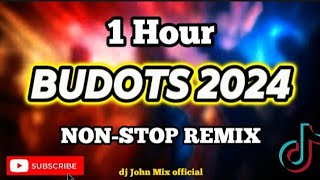 BEST BUDOTS 2024  1 HOUR NONSTOP REMIX 💥 [upl. by Adnema]