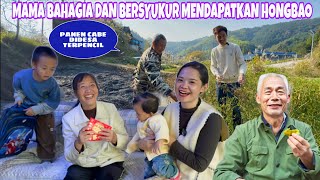 BANTU PEYA DIKEBUN DESA LALU PETIK CABAI DAN BERI HONGBAO KE MAMA DAN VEIVEI [upl. by Martino]