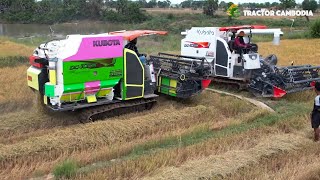 Best Kubota Combine Harvester DC105X Working Skills  Rice Cutting Machine  Agricultural Machinery [upl. by Ydasahc]