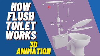 How Flush Toilet Works  3D Animation  Siphon [upl. by Hadihahs]