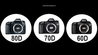 Canon 80D vs 70D vs 60D  differences and similarities [upl. by Aliekat]