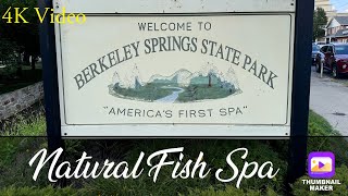 Natural Fish Spa  Berkeley Spring State Park  WV  Sideling Hill [upl. by Nero650]