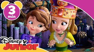 Sofia den Första  Lära bjässar att bli snälla  Disney Junior Sverige [upl. by Aimahc989]