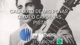 El Provinciano  Olimpo Cardenas  Con Letra Video Lyric [upl. by Ekrub]